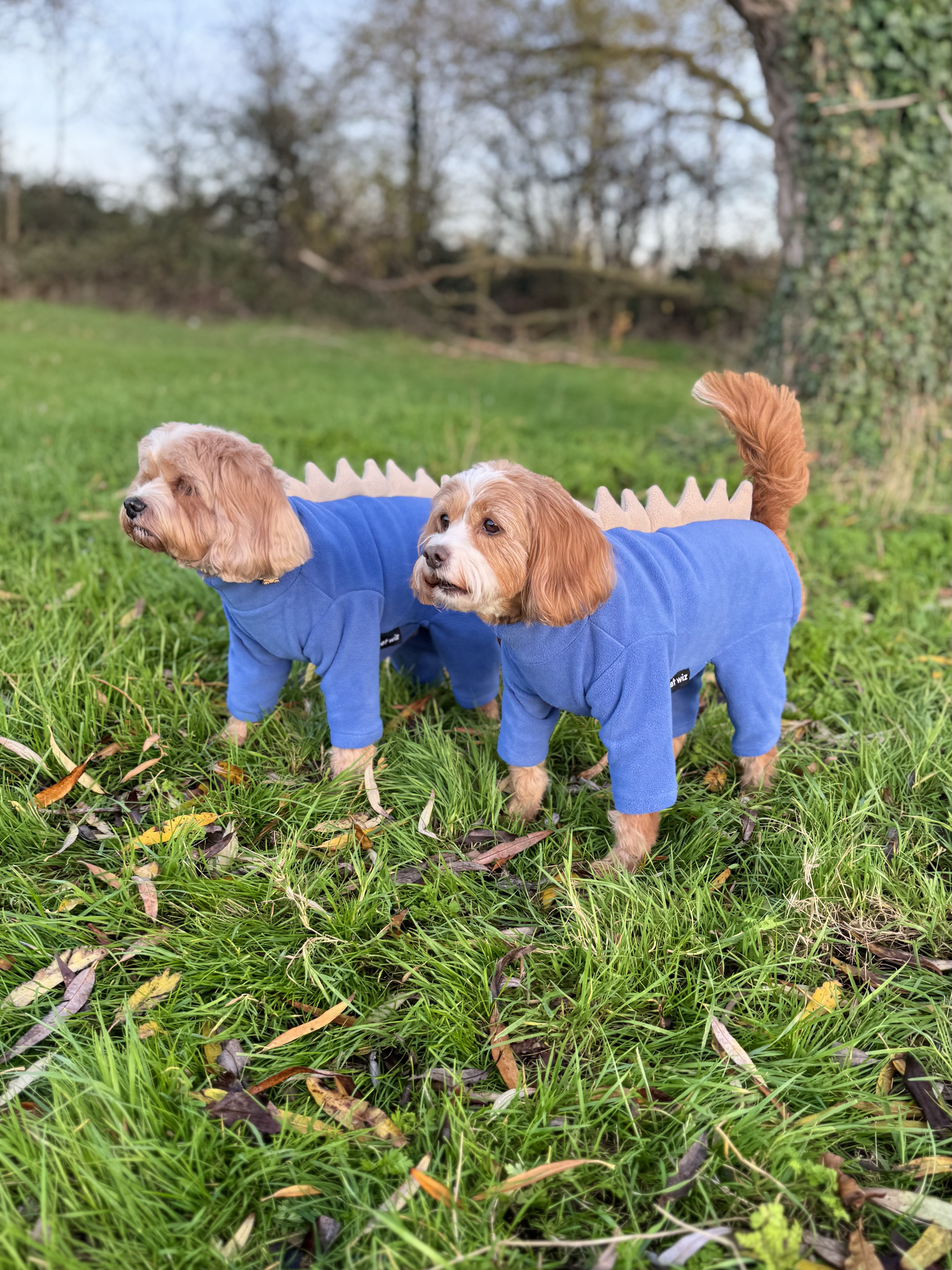 Pet Wiz Four-Legged Dog Fleece - Spikes 