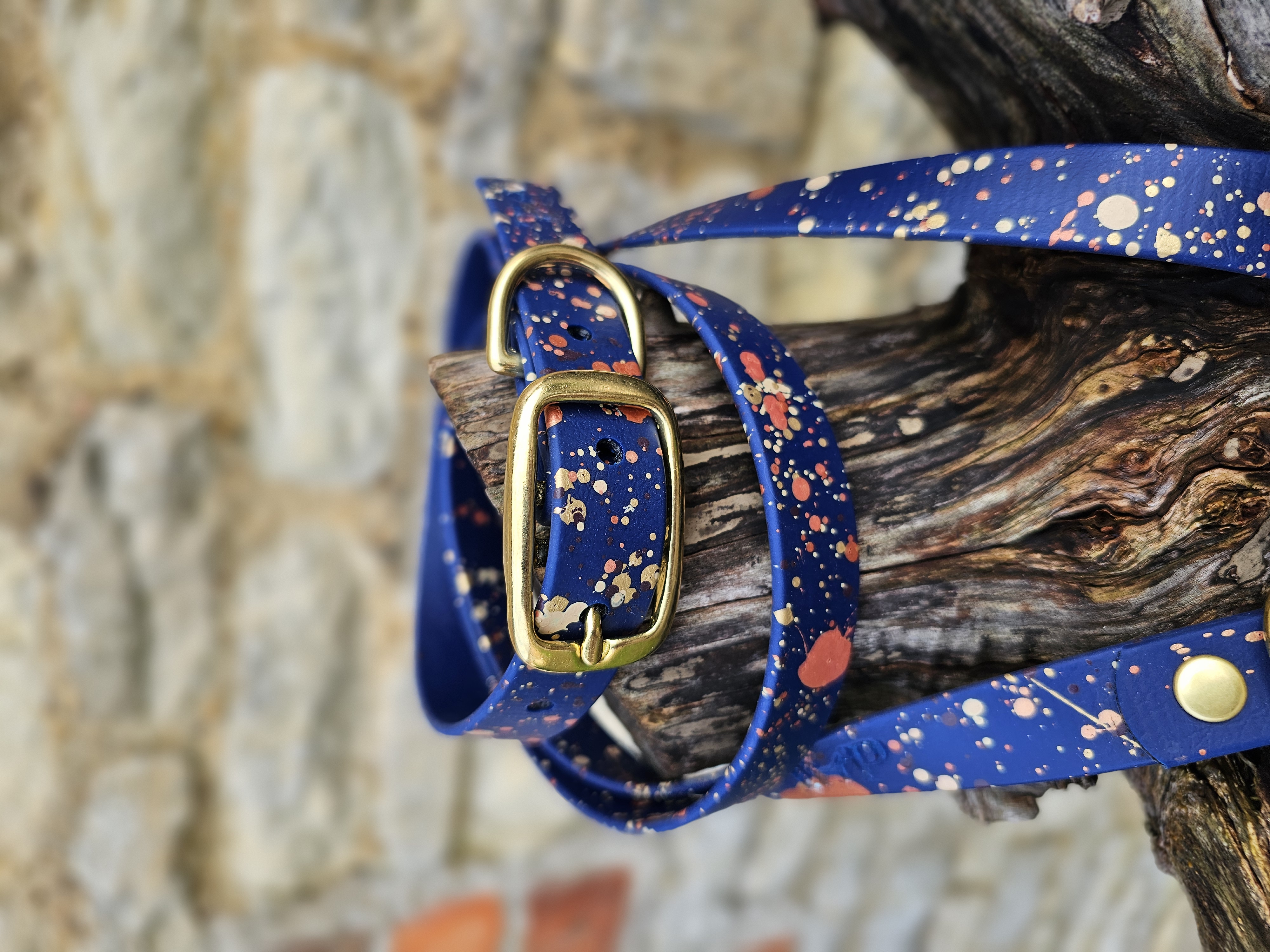 Celestial waterproof Biothane Dog Collar & Lead Set