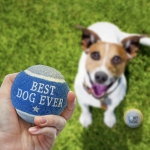Personalised Dog Balls 