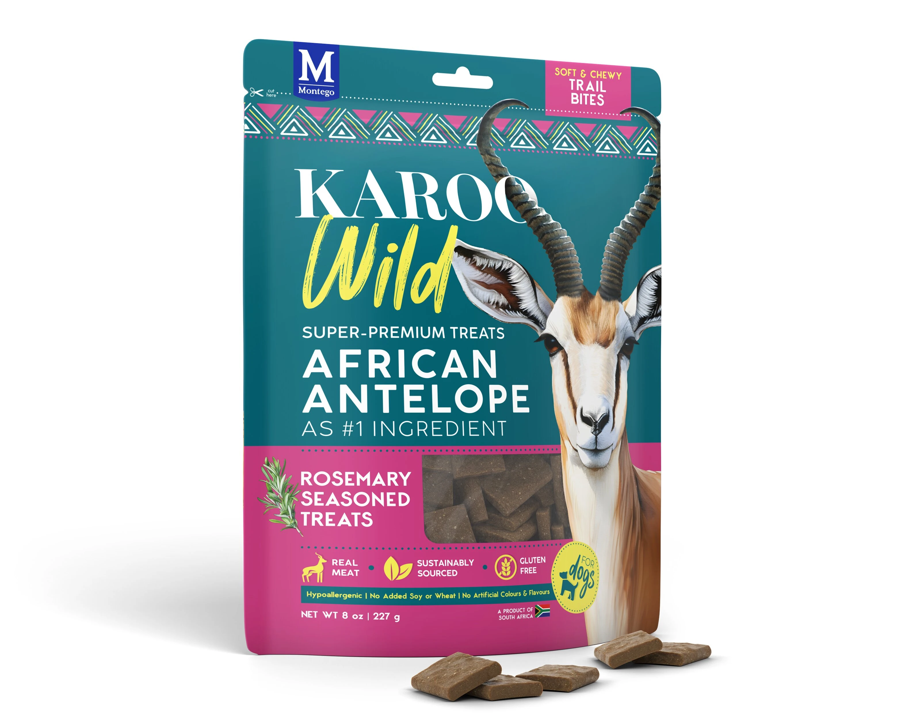 Karoo Wild African Antelope
