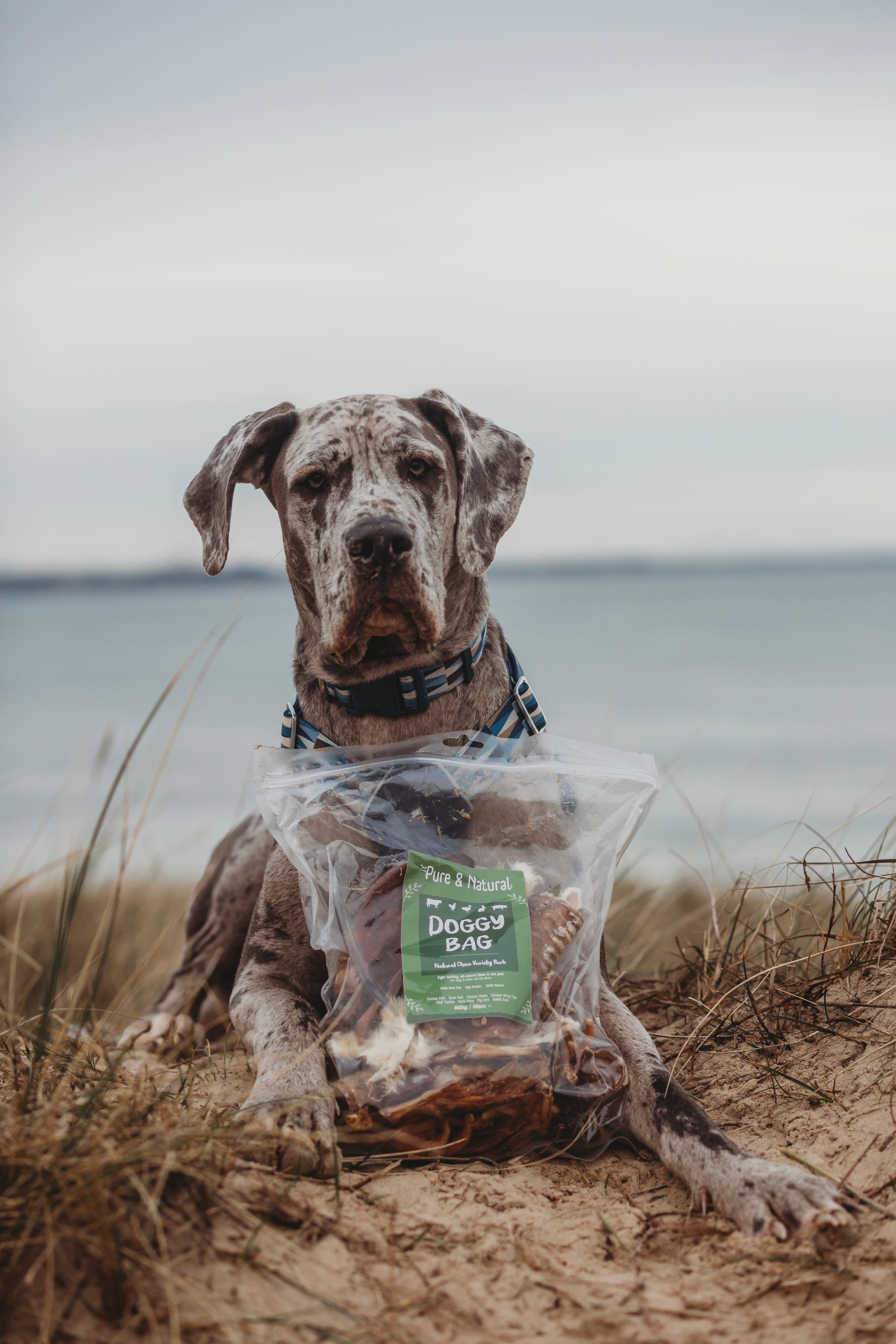 Pure & Natural Doggy Bag Natural Chew Variety Pack 