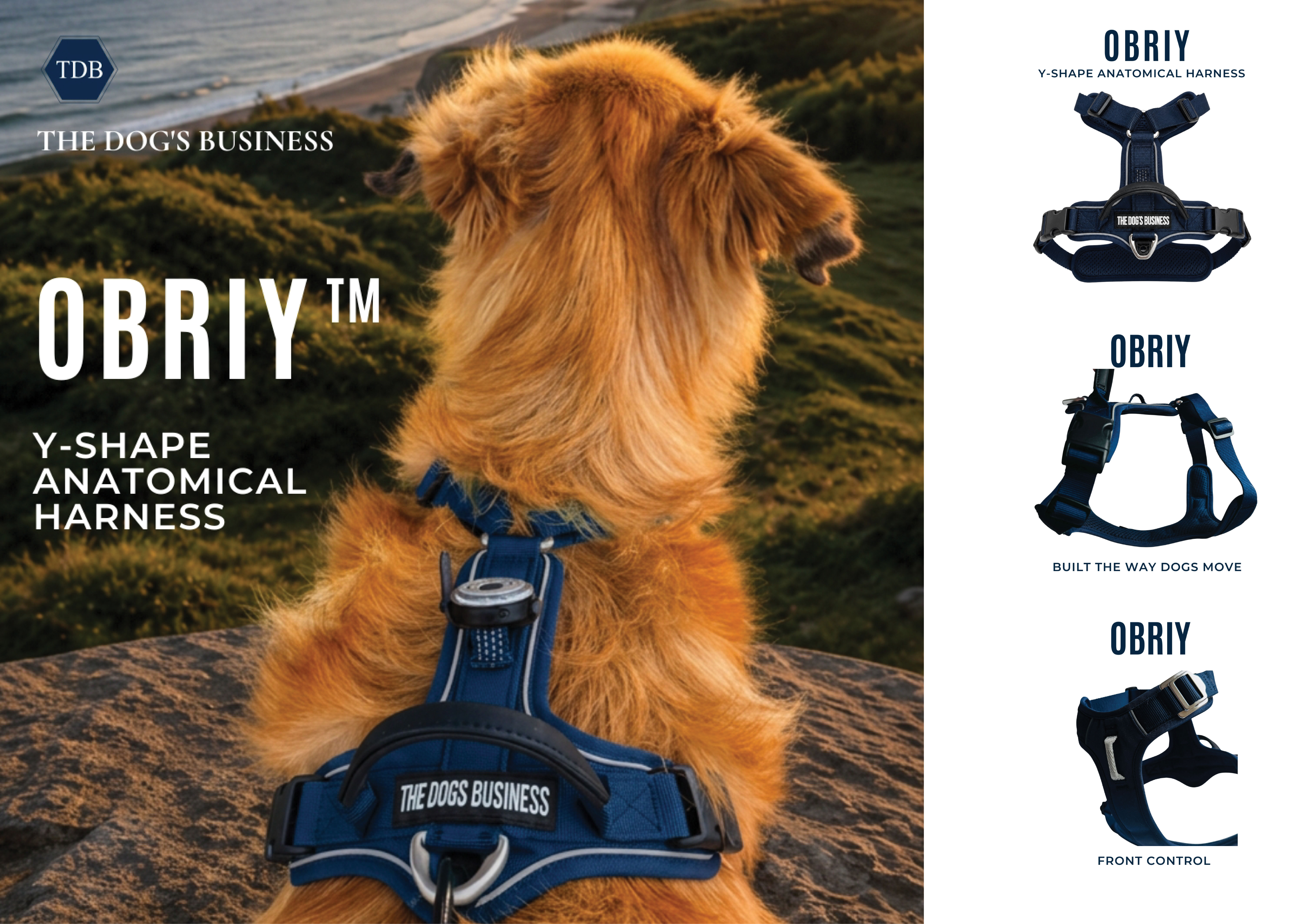 OBRIY Y-Shape Anatomical Harness