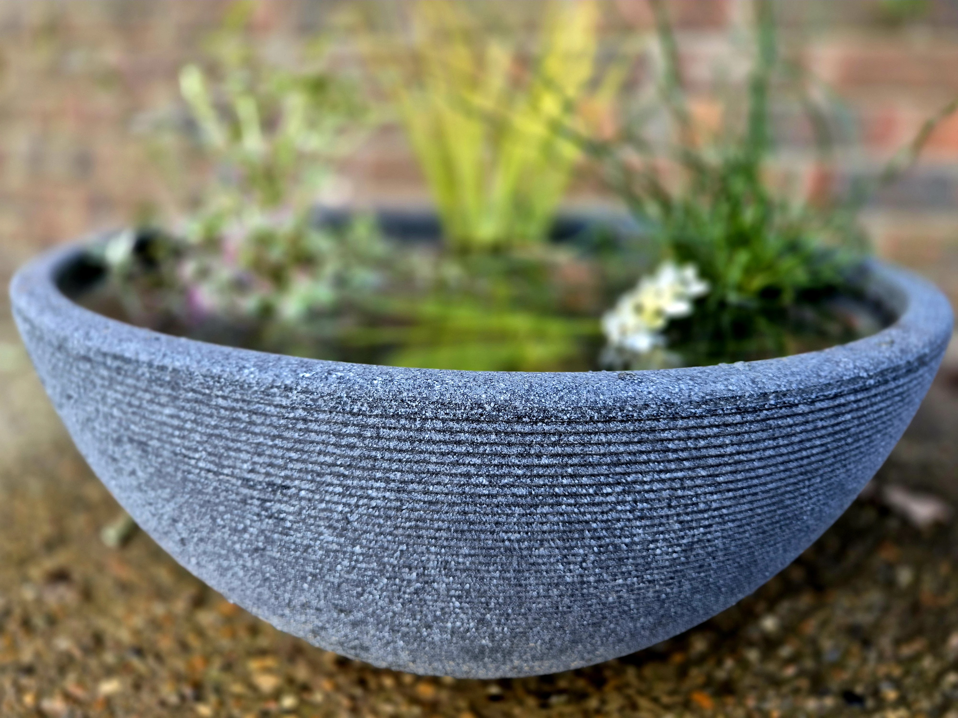 Pond in a Pot