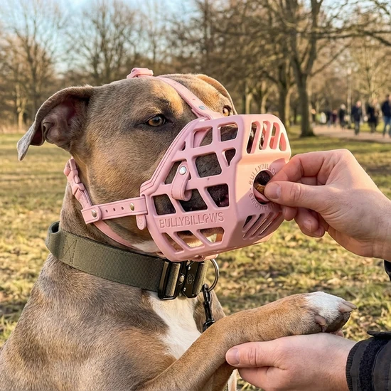 Premium Comfort Muzzle