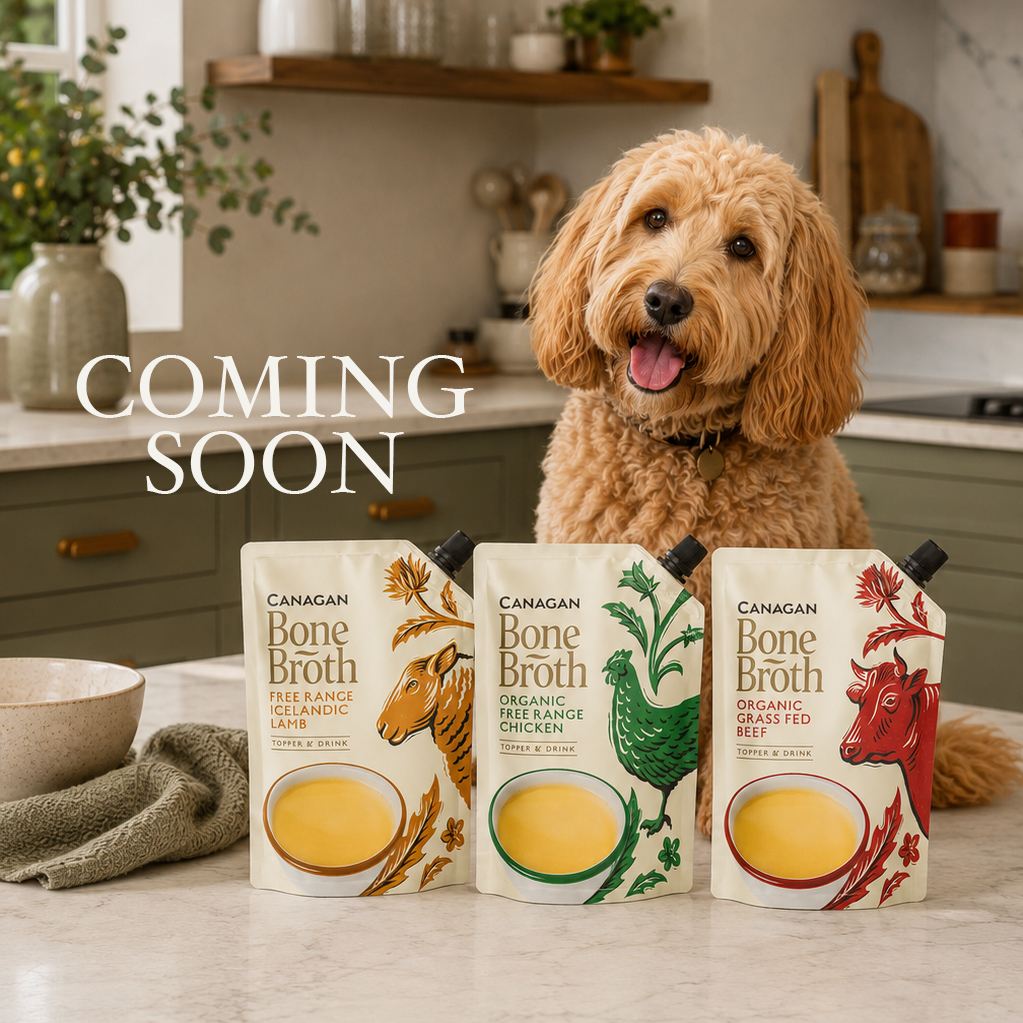 Canagan Bone Broth