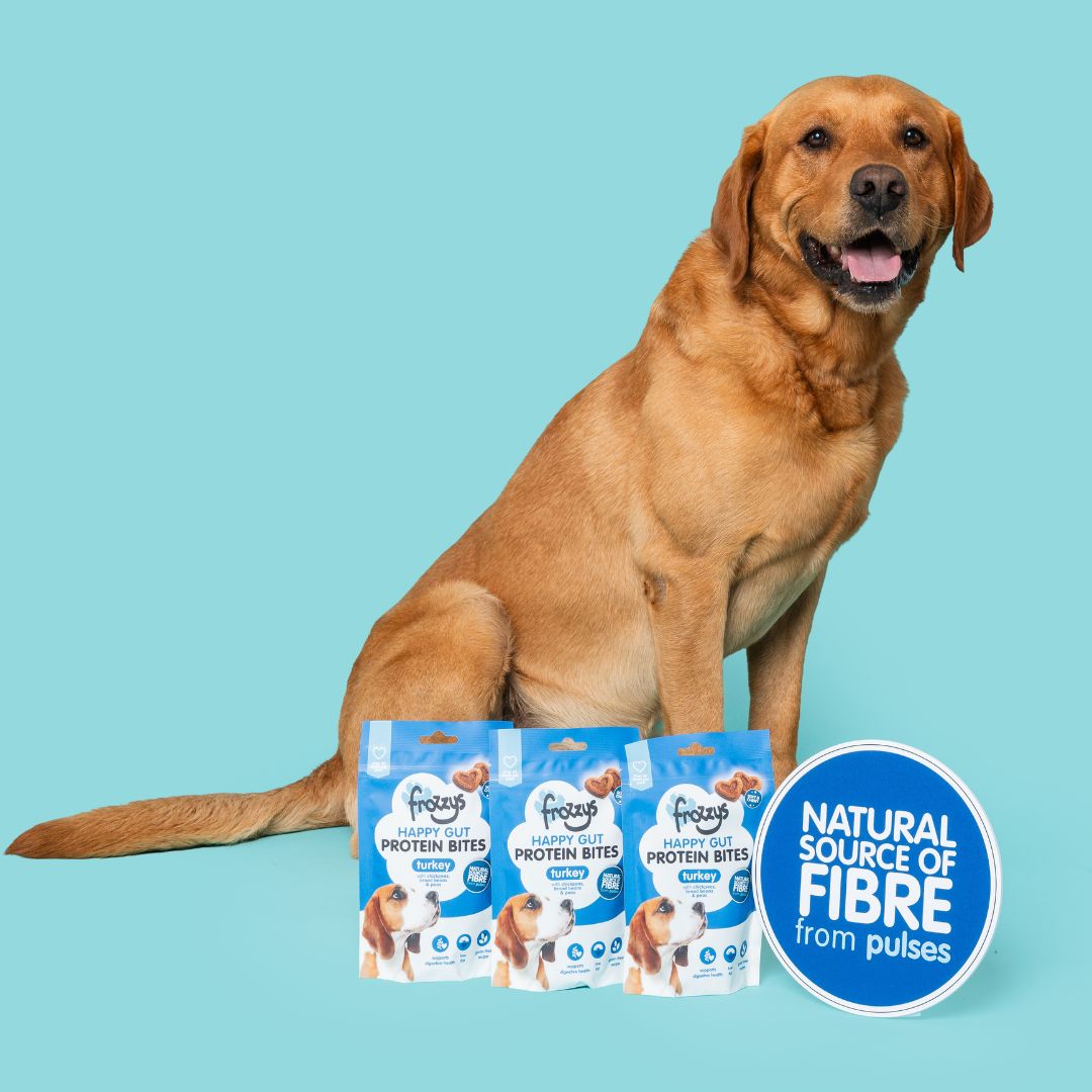Frozzys Happy Gut Protein Bites
