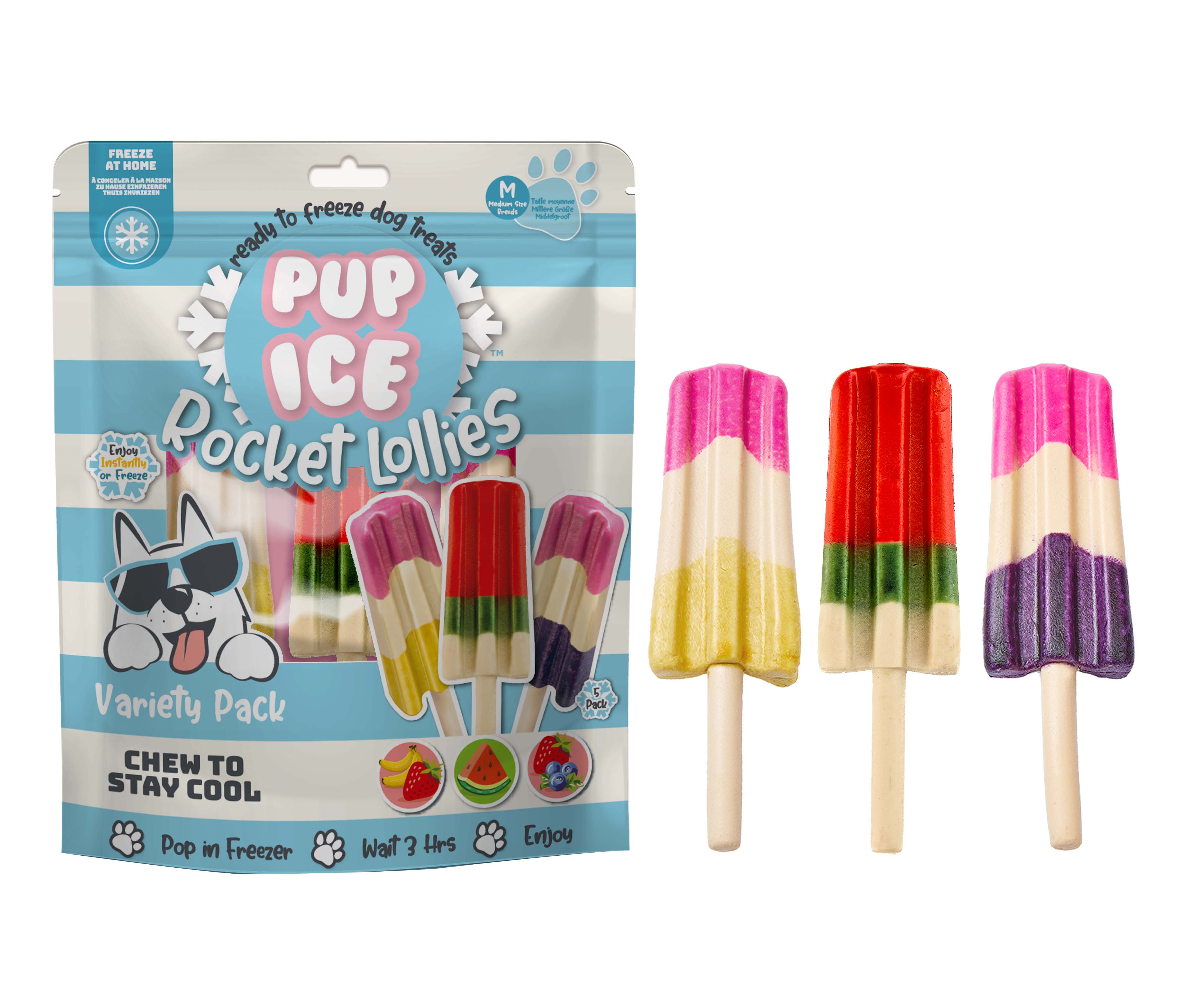 Pup Ice Rocket Lollies Variety Pack
