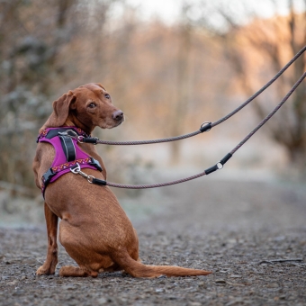 GO-B-FLEXTRA Multifunctional Rope Lead