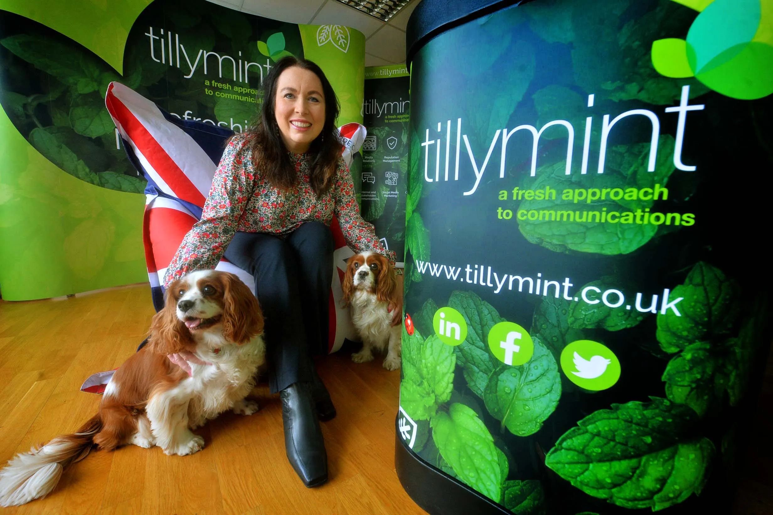 Tillymint Urges Pet Businesses: ”Unleash Your Potential"