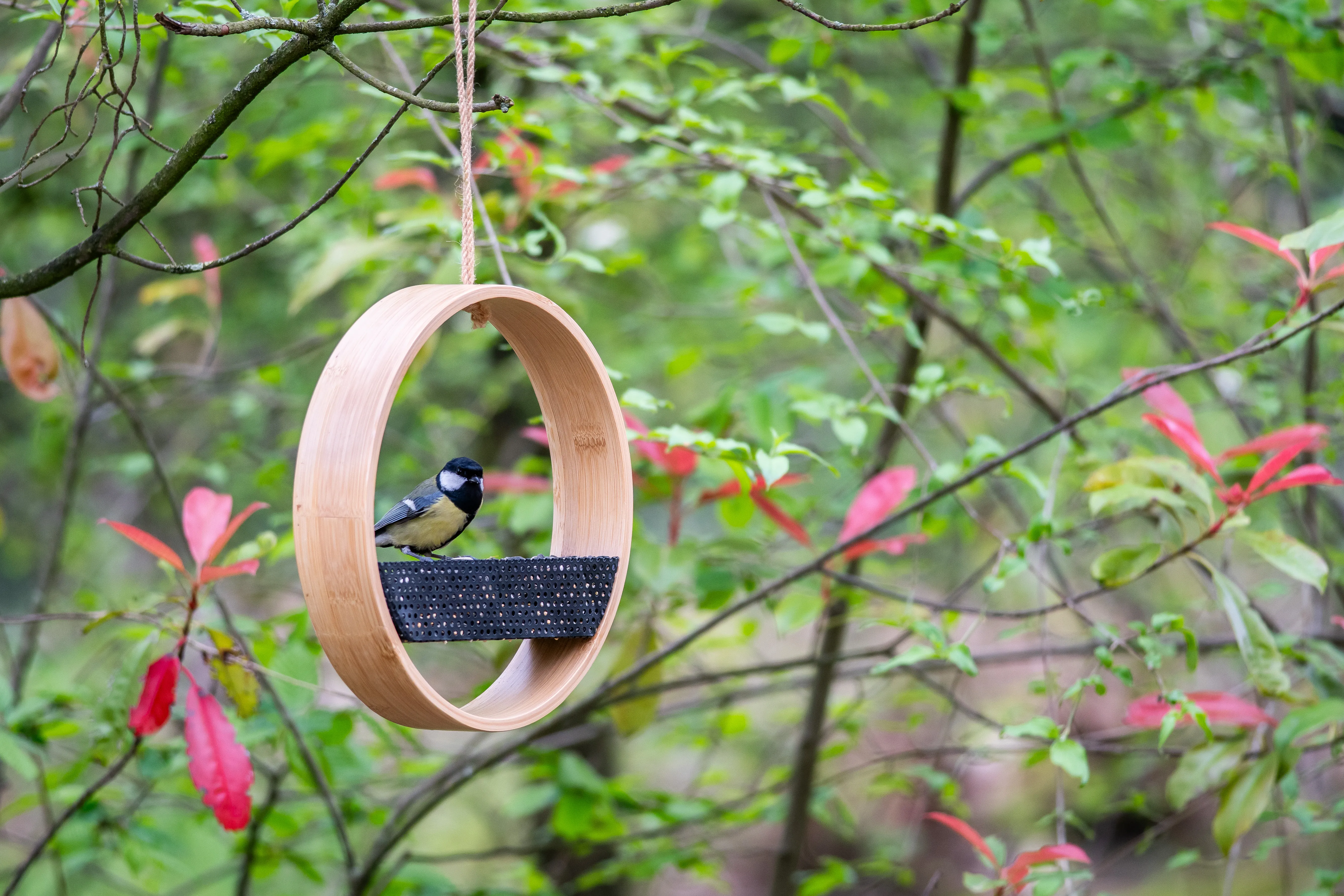 CJ Wildlife Launches the Elegant Osaka Bamboo Bird Feeder