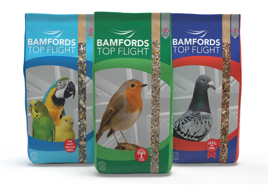 Feeding the industry: A 100-year heritage in premium bird food manufacturing