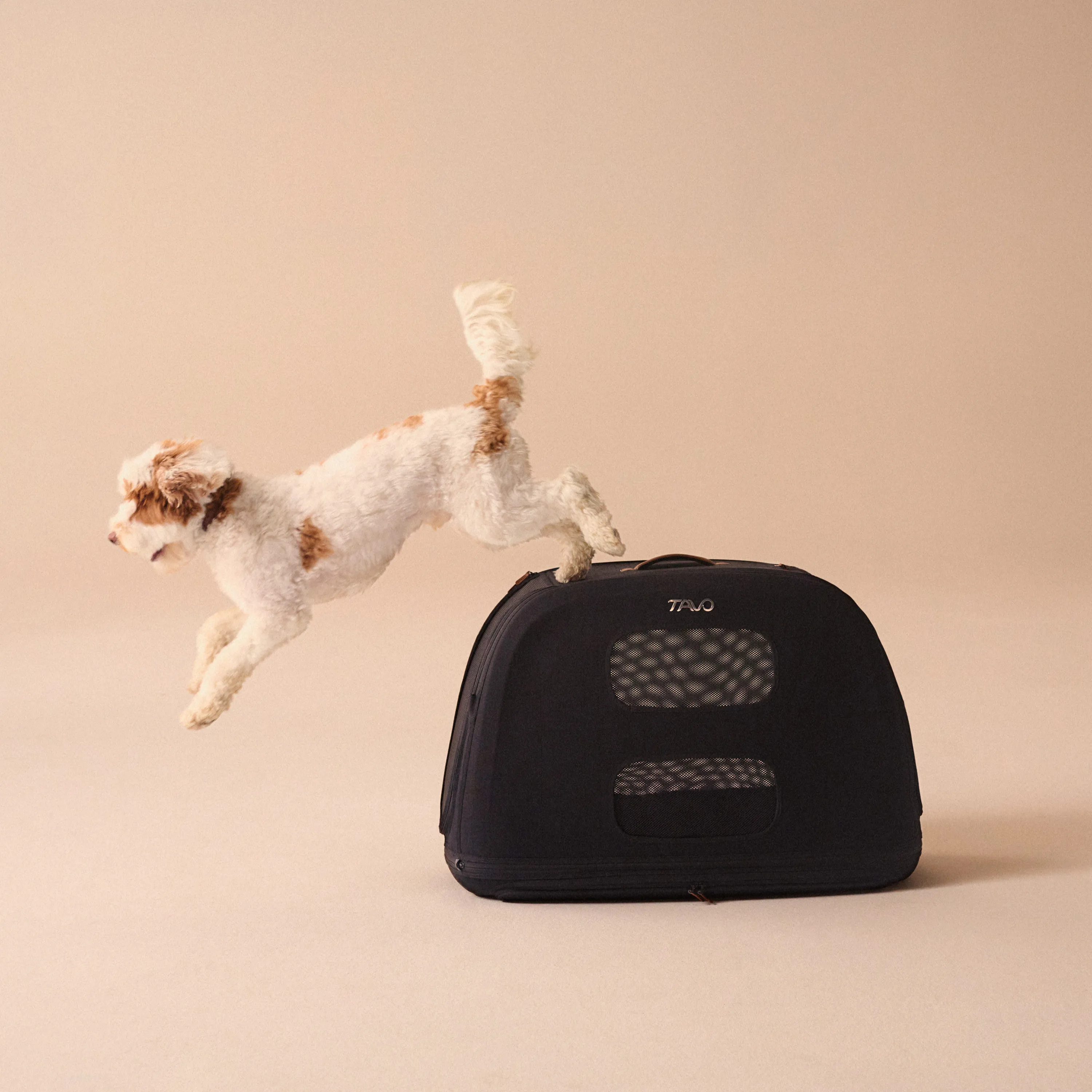 Discover Tavo – the new benchmark in premium pet travel and comfort.