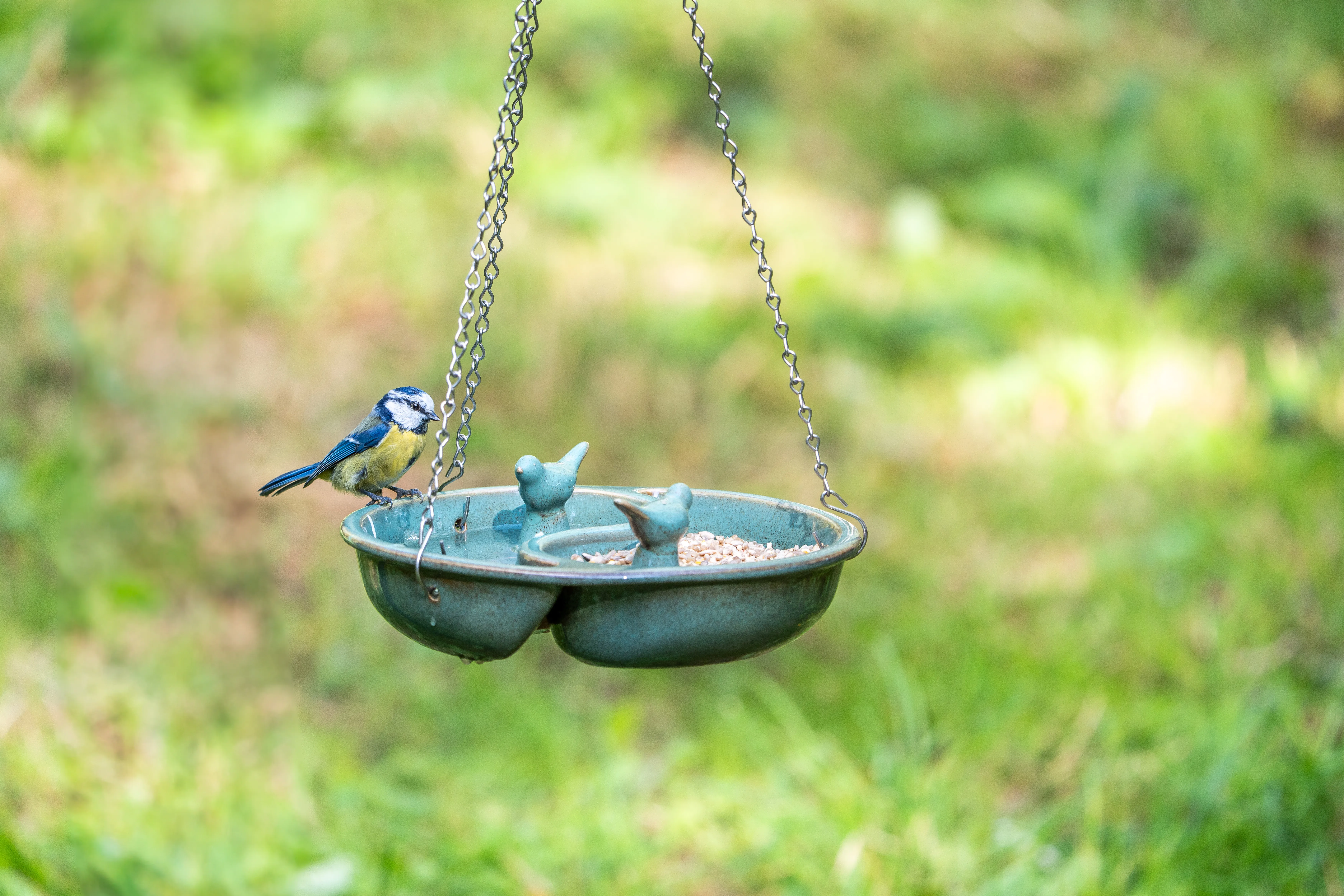 Launch of the National Trust Vierno Yin Yang Feeder and Drinker