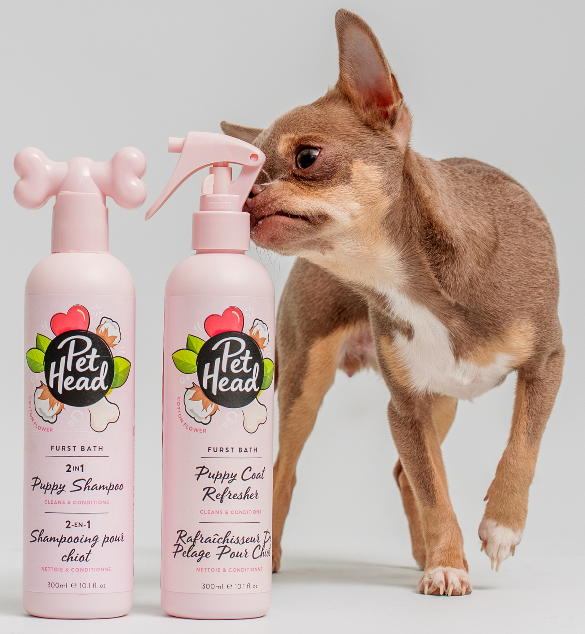 Pet Head Furst Bath Cotton Flower Puppy Collection