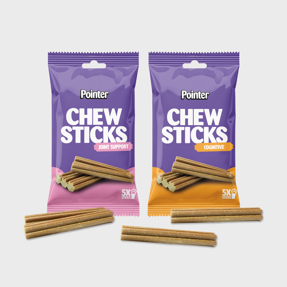 Pointer Chew Sticks