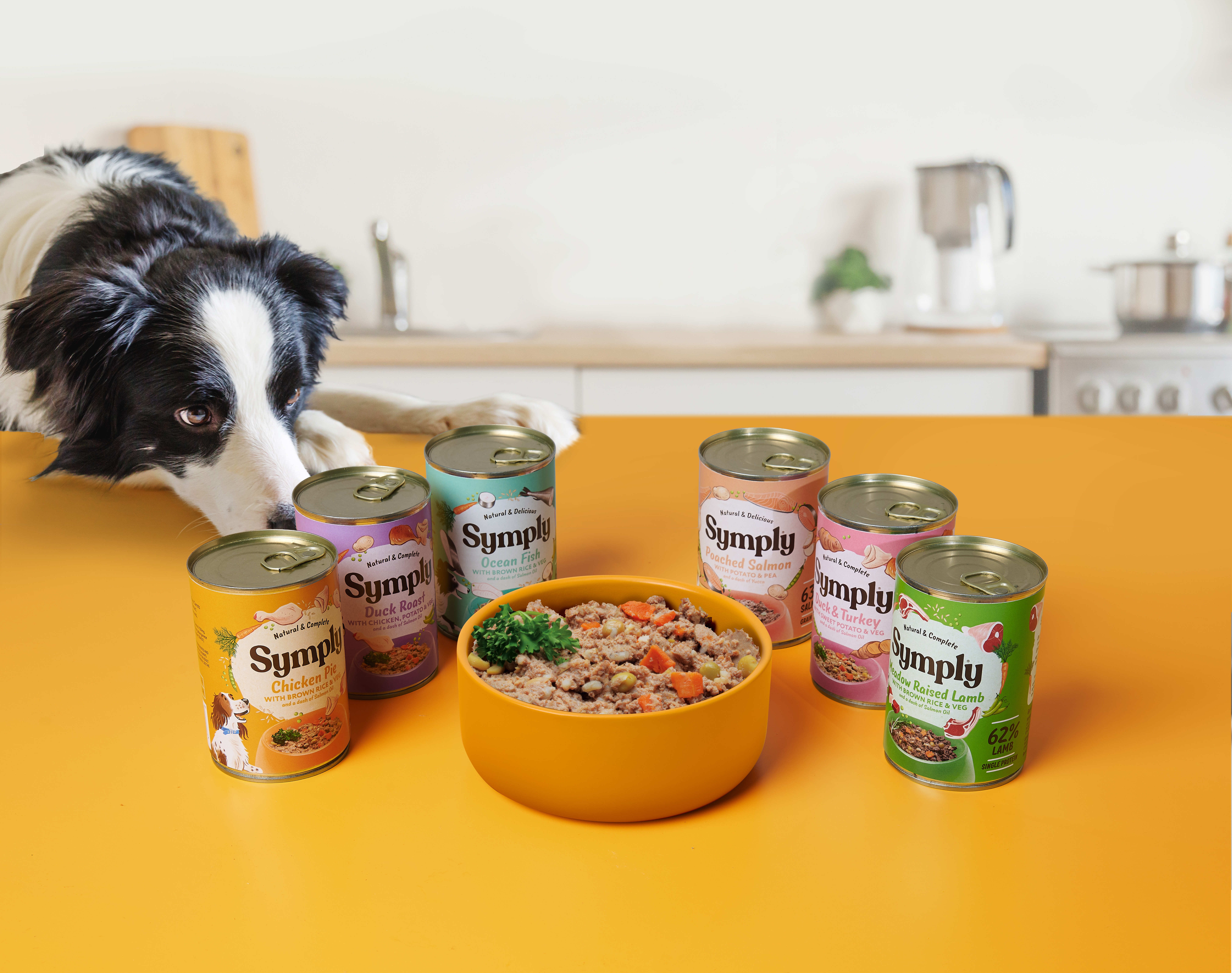 Symply Dog Cans