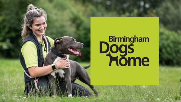 Meet PATS’ Charity Partner: Birmingham Dogs Home
