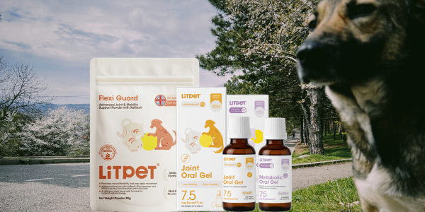 LitPet® Introduces Three Advanced Veterinary Wellness Innovations at PATS 2026