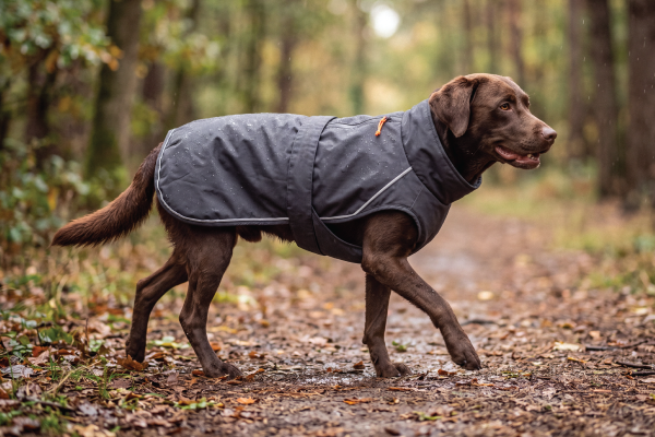 Mountain Paws expands range with new launches for 2027