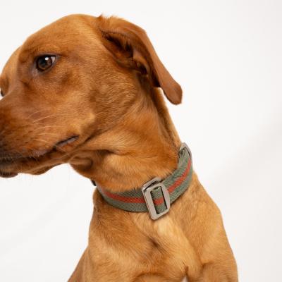 All Terrain Dog Collar & Lead