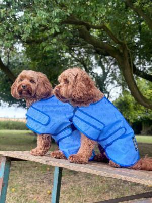 CHILLER®️ COOLING COAT FOR DOGS