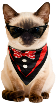 PAWPRISE CATS