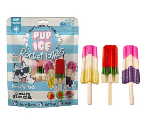 Pup Ice Rocket Lollies Variety Pack