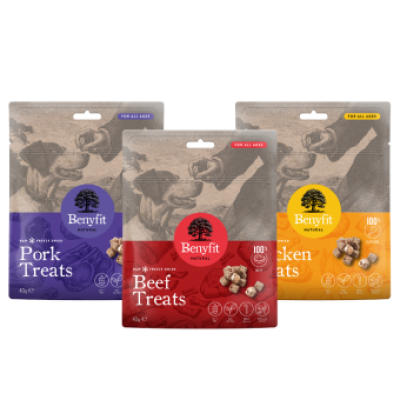 Benyfit Natural Freeze Dried Raw Dog Treats 