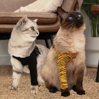 Cat Recovery Front Leg Single Sleeve by Suitical