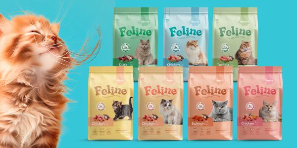 HobbyFirst Feline