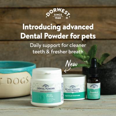 Dental Powder for dogs & cats