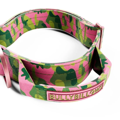 Lighter Combat® Collar | With Handle & Secure Clip