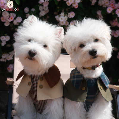 London Tailoring - The Barrister Coat for Pets 