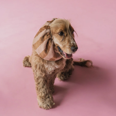 Bamboo Towel DOG SNOOD 
