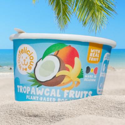 Woofelicious Tropawcal Fruits dog ice 
