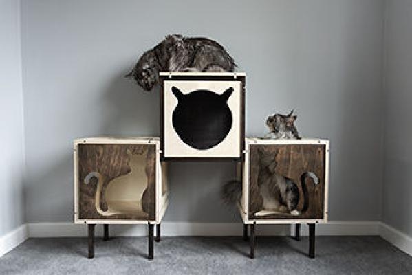 Cat Pyramid 