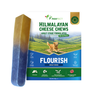 Pawfect Himalayan Cheese Flourish Chew for Adult Dogs (3x100g)