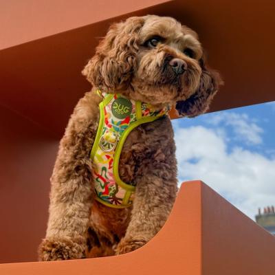 Dug Tropic - Pog & Pull Harness