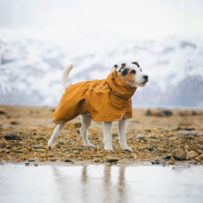 Cloudshell Rain Jacket