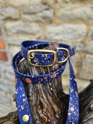 Celestial waterproof Biothane Dog Collar & Lead Set