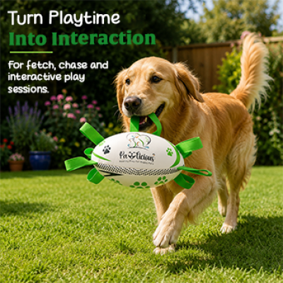 Rugby Ball for Dogs