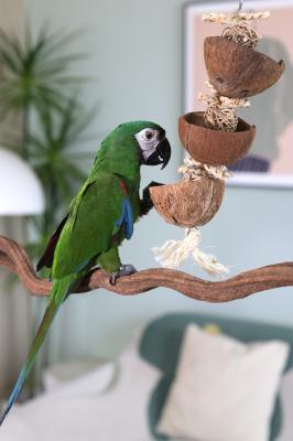 New Rosewood naturals Small Animal & Birds Range (27 lines)